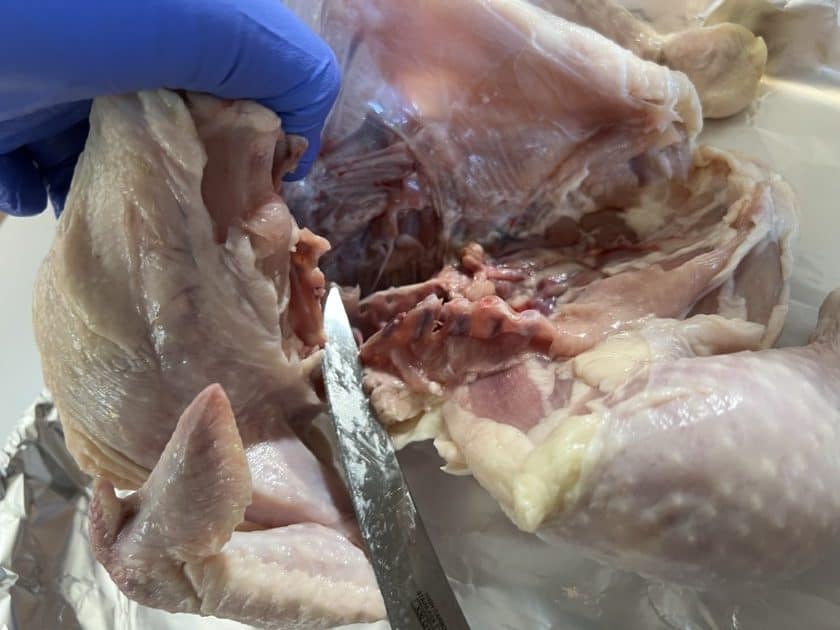 Cutting along the breastbone to bull frog a chicken with a knife.