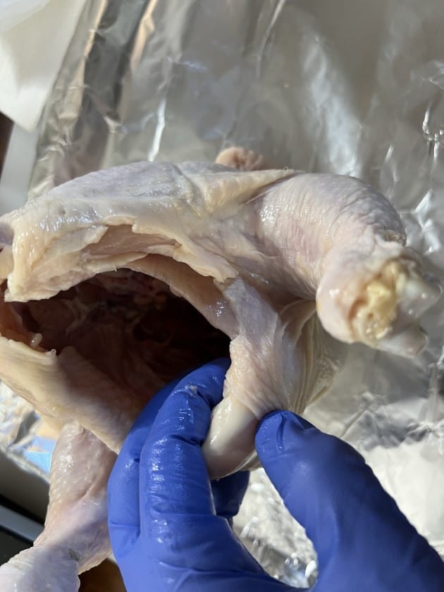 Locating the breastbone on a chicken.